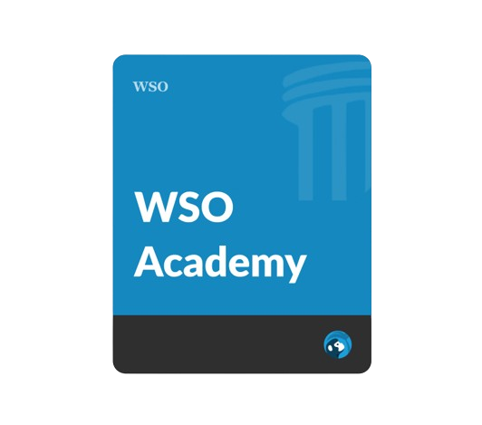 WSO Academy